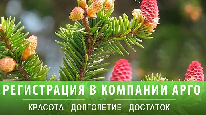 Регистрация в личном кабинете компании АРГО . Анна Донская- Погорелова