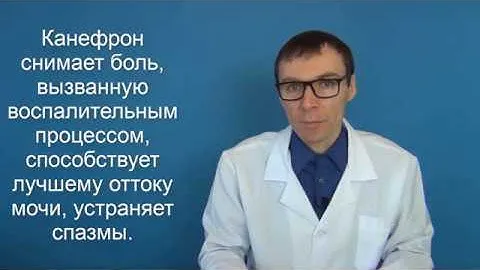 КАНЕФРОН. Инструкция по применению лекарства для почек и состав