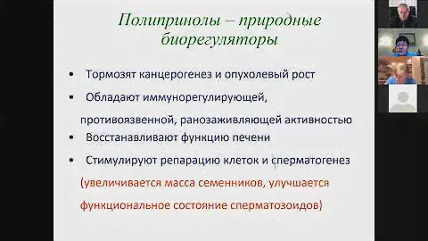 Провитам. Лекция Зорькиной Т.С. в zoom