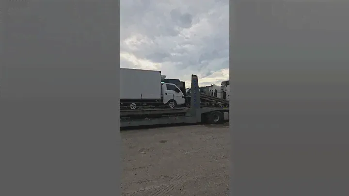 Загрузка в Ульяновске 2 argo